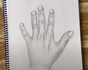 How To Draw a Realistic Hand Step by Step
