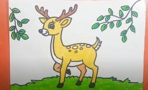 How to Draw A Cartoon Deer
