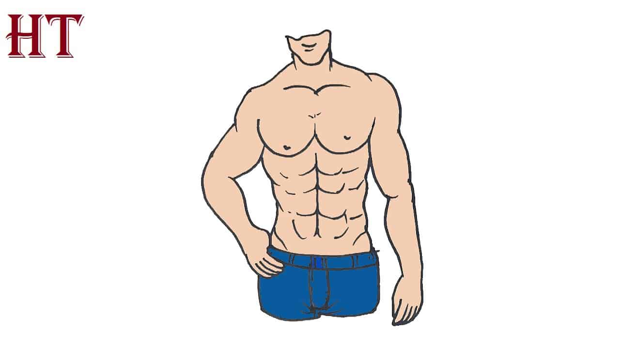 How to Draw A male Torso Step by Step