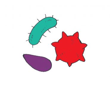 How to Draw Bacteria Step by Step