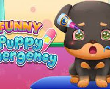 Funny Puppy Emergency – Game play HTML5