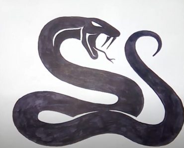 How To Draw A Black Mamba Step by Step