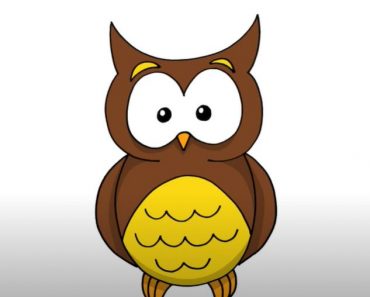 How To Draw A Cartoon Owl Step by Step