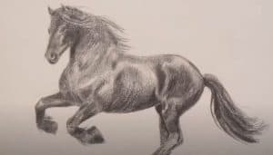How To Draw A Mustang Horse