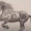 How To Draw A Mustang Horse Step by Step