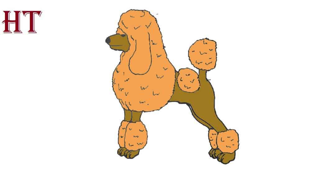 How To Draw A Poodle
