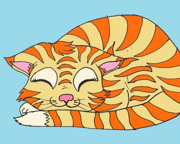 How To Draw A Sleeping Cat Step by Step