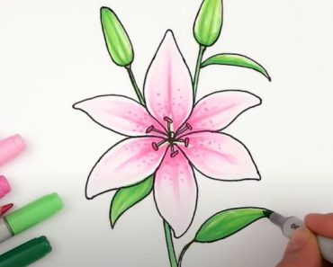How To Draw A Tiger Lily Step by Step