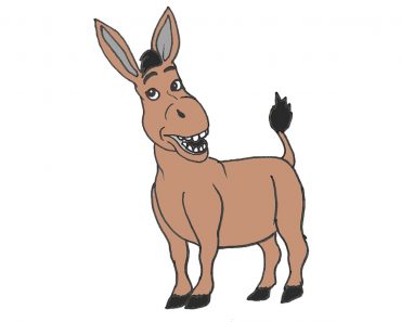 How To Draw Donkey From Shrek Step by Step