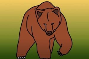 How To Draw Grizzly Bears