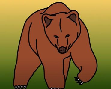 How To Draw A Grizzly Bear Step by Step