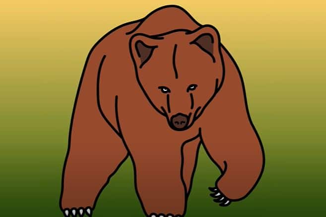 How To Draw A Grizzly Bear Step by Step