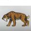 How to Draw a Saber Tooth Tiger Step by Step