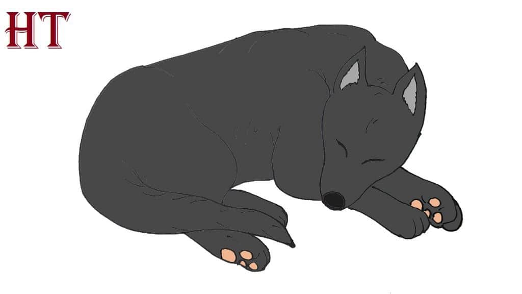 How to Draw a Sleeping Dog