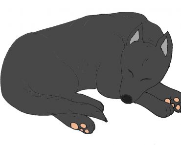 How to Draw a Sleeping Dog Step by Step