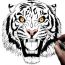 How to Draw a Tiger Roaring Step by Step