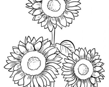 Sunflower Coloring Pages – Free to Print and Color