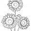 Sunflower Coloring Pages – Free to Print and Color