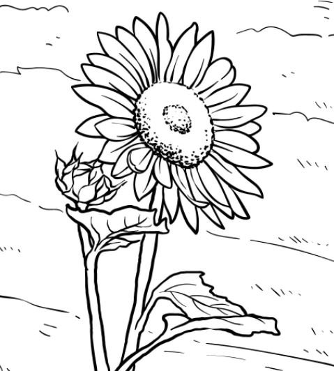 Sunflower Coloring Pages - Free to Print and Color