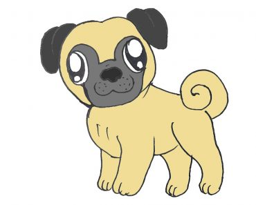 How to draw a Pug Dog Step by Step