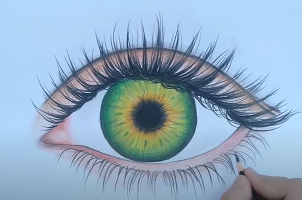 How To Draw A Green Eye Step by Step