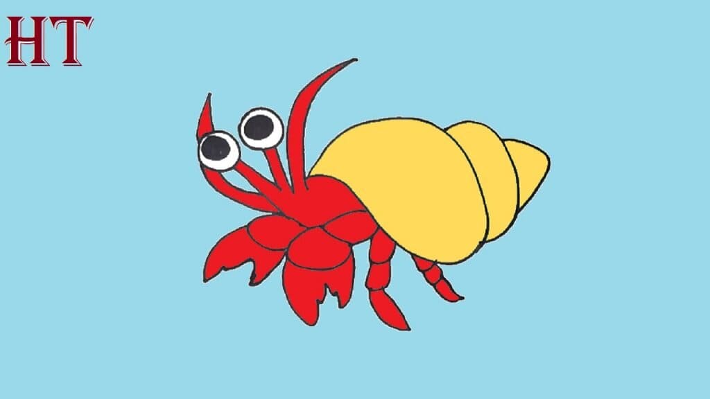 How To Draw A Hermit Crab