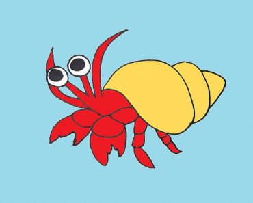 How To Draw A Hermit Crab Step by Step