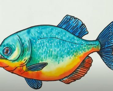 How To Draw A Piranha Fish Step by Step