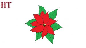 How To Draw A Poinsettia