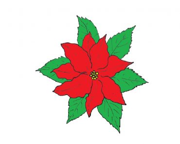 How To Draw A Poinsettia Flower Easy