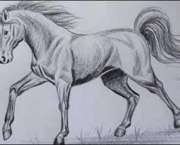 How To Draw A Realistic Horse with Pencil