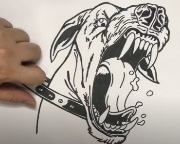 How to Draw an Angry Dog Step by Step