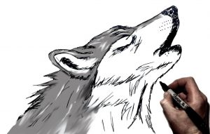 How To Draw Howling Wolves