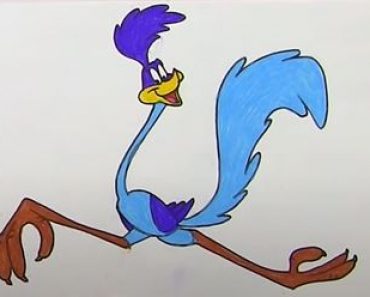 How To Draw Road Runner Step by Step