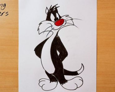 How To Draw a Cartoon Cat Step by Step || Sylvester The Cat