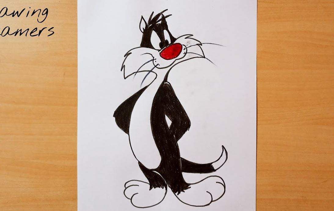 How To Draw a Cartoon Cat Step by Step || Sylvester The Cat