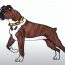 How to draw a Boxer Dog Step by Step