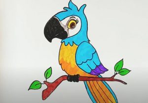 Parrot How to Draw for Beginners