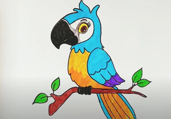 how to draw a Parrot – Easy Animals 2 Draw-saigonsouth.com.vn