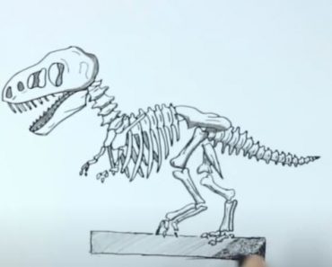 How To Draw A Dinosaur Skeleton Step by Step