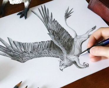 How To Draw A Griffin (Gryphon) Step by Step