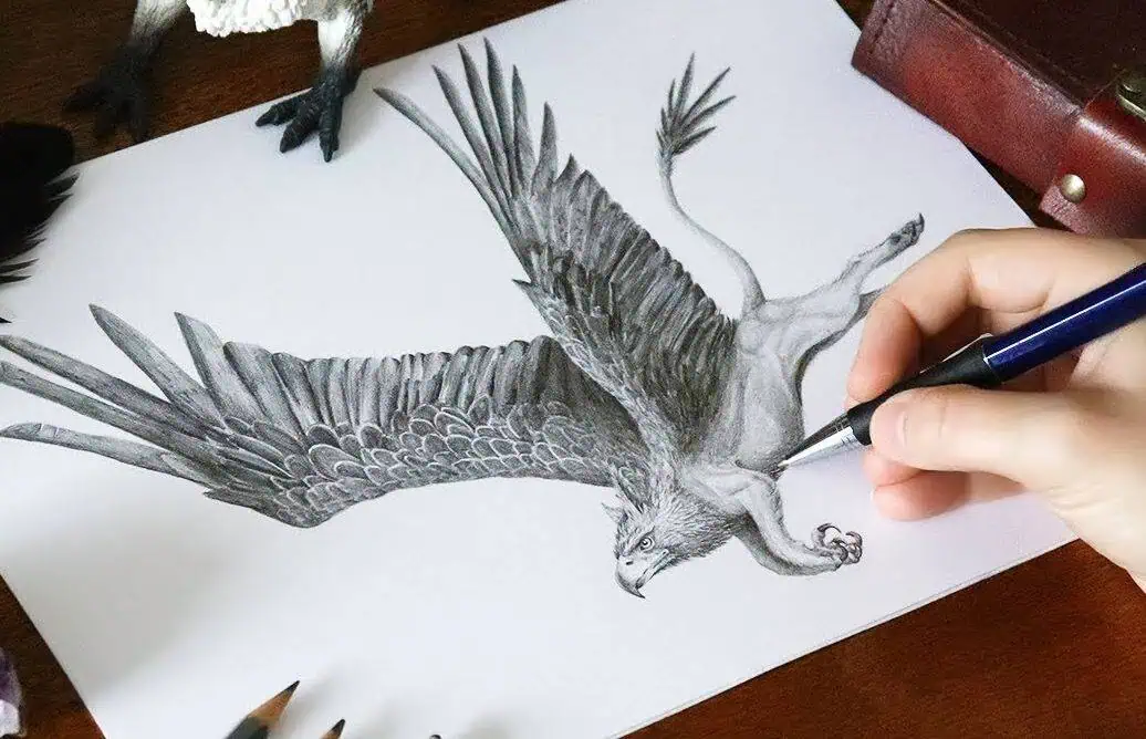 How To Draw A Griffin