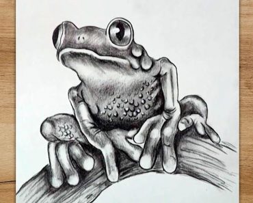 How To Draw A Realistic Frog Step by Step