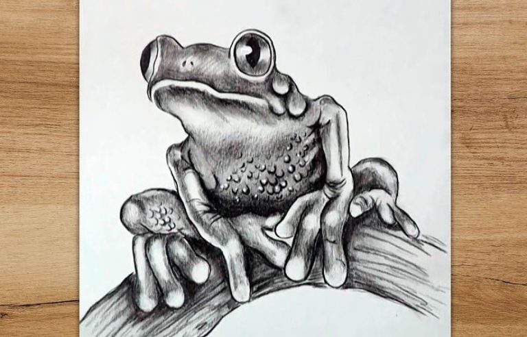 How To Draw A Realistic Frog Step by Step