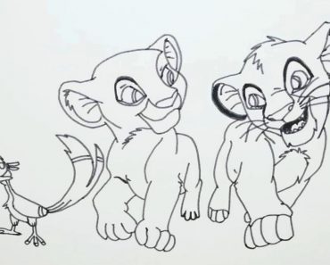 How To Draw Simba And Nala || Lion King Drawing