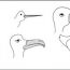 How to Draw A Beak Bird Step by Step