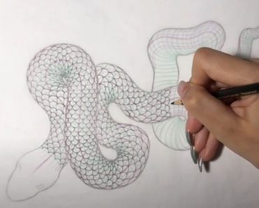 How to Draw Snake Scales Step by Step || Snake Drawing