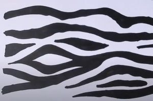 How to Draw Zebra Stripes