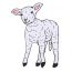 How to Draw a Lamb Step by Step