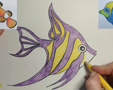 How to draw A Tropical Fish Step by Step